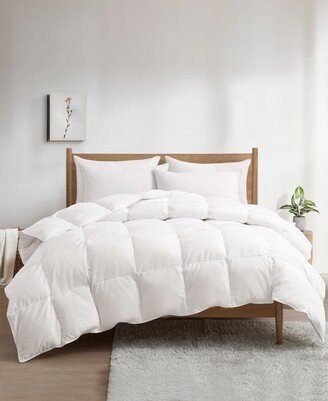 All Season 360 Thread Count Premium Down Feather Fiber Comforter, Full/Queen