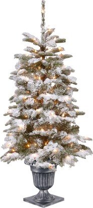 National Tree Company 4' Feel Real Snowy Camden Entrance Tree in Silver Brushed Urn with 100 Clear Lights