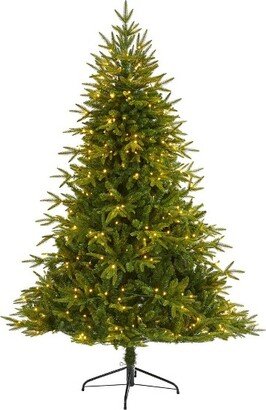 6’ Colorado Mountain Fir “Natural Look” Prelit LED Artificial Christmas Tree