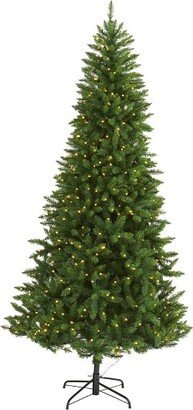 7.5’ Green Valley Fir Prelit LED Artificial Christmas Tree