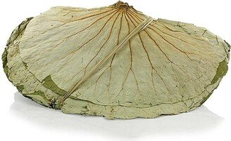 100+ Nelumbo Lotus Leaves Pack, Dried Complete Select Amount