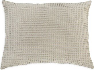 Zuma Big Pillow & Insert