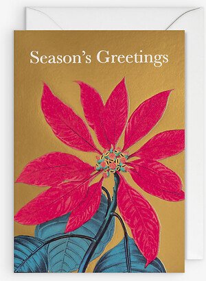 Selfridges Edit Kew Gardens Seasons Greetings Christmas Card 20cm x 12cm