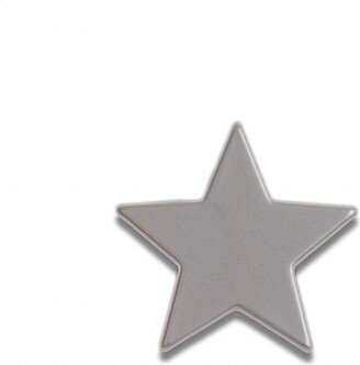 Silver Star Souvenir Pin