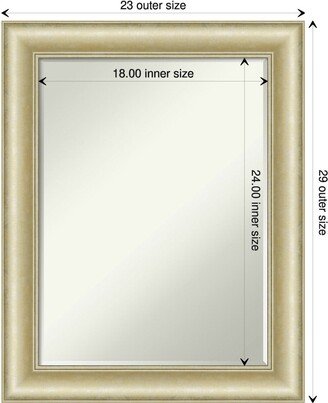 Petite Bevel Wall Mirror - Textured Light Gold Frame - Textured Light Gold - 23 x 29 in