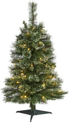 3ft Pre-Lit LED Wisconsin Snow Tip Pine Artificial Christmas Tree Clear Lights