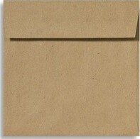 5 x 5 Square Envelopes 1000/Box Grocery Bag (8505-GB-1000)