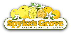 Spykes Grove Promo Codes & Coupons
