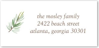 Address Labels: Little Pine Address Label, White, Address Label, Matte