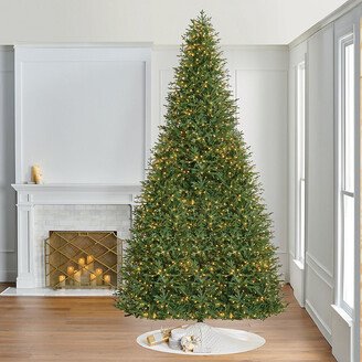 Fraser Fir Slim Profile Tree