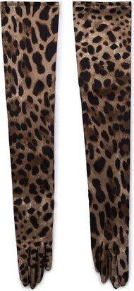 Long Leopard-Printed Stretch Satin Gloves