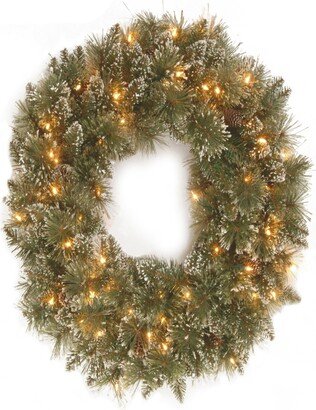 National Tree Company 24 Glittery Bristle Pine Wreath with Twinkly Led Lights