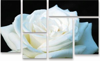 Kurt Shaffer White Rose Ii Multi Panel Art Set 6 Piece - 49 x 19