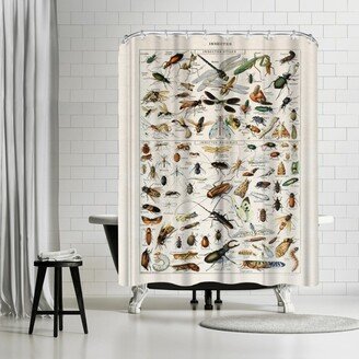 71 x 74 Shower Curtain, Insects Art Print by Samantha Ranlet