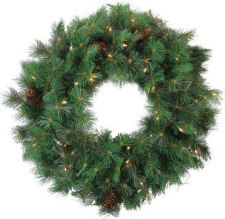 Northlight Pre-Lit Royal Oregon Pine Artificial Christmas Wreath 24-Inch Clear Lights