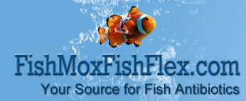 FishMoxFishFlex Promo Codes & Coupons