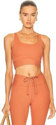 Ribbed Gym Bra in Orange