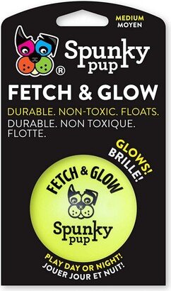 Spunky Pup Fetch & Glow Ball Medium, (Assorted) Dog Toy