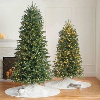 Windsor Noble Fir Slim Profile Tree