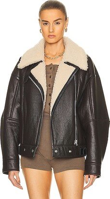 Biker Jacket in Brown