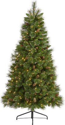 6’ Golden Tip Washington Pine Prelit LED Artificial Christmas Tree with Pine Cones