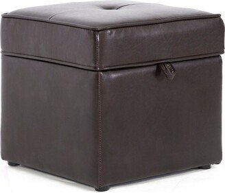 Sydney Modern Storage Ottoman Brown