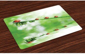 Ladybugs Place Mats, Set of 4