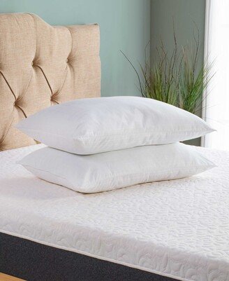 Beyond Down Traditional 2-Pack Pillows, Queen