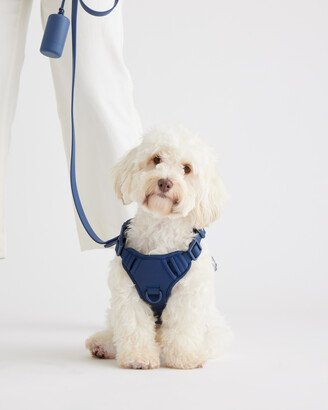 Dog Harness Walk Kit