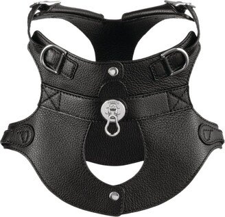 Pagerie Colombo Dog Harness (Small)