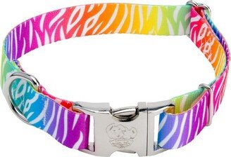 Country Brook Petz Premium Fashion Zebra Dog Collar (1 Inch, Medium)