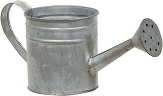 Natural Zinc Watering Can - 4W x 4H x 9.50L