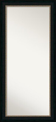 Non-Beveled Wood Full Length Floor Leaner Mirror - Paragon Bronze Frame - Paragon Bronze - Outer Size: 31 x 67 in