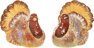 Thanksgiving Turkey Salt & Pepper Set Set of 2