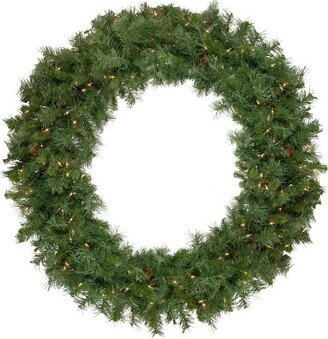 Northlight Pre-Lit Black River Pine Artificial Christmas Wreath, 48-Inch, Clear Lights