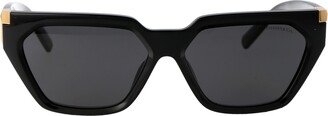 0tf4205u Sunglasses