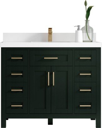 Cambridge 42 In. W X 22 D Single Sink Bathroom Vanity in Dark Forest Green With Quartz Or Marble Countertop | Modern Vanity Premium Q