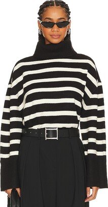 Striped Turtle Neck