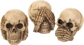 Vintage See Hear Speak Skulls Trio