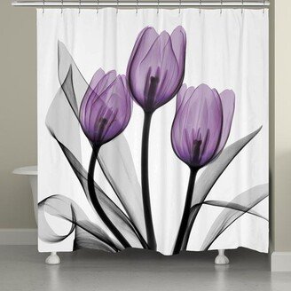 Tulips Shower Curtain - Purple/tul