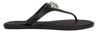 Medusa Thong Sandals in Black