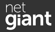 Net Giant Promo Codes & Coupons