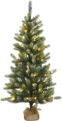 National Tree Company 4.5Ft Trinity Spruce Tree With Led Lights