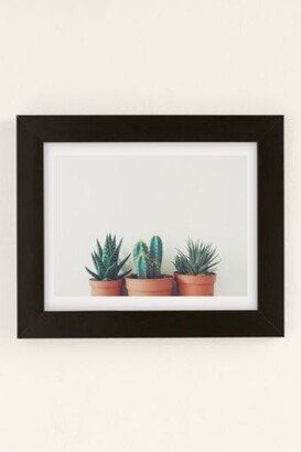 Cassia Beck Potted Plants Art Print