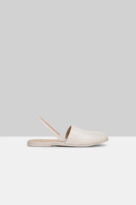 Marcella Slingback Ballerina Shoes