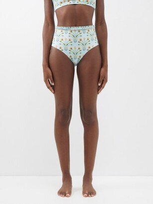 Nopal Floral-print High-rise Bikini Briefs