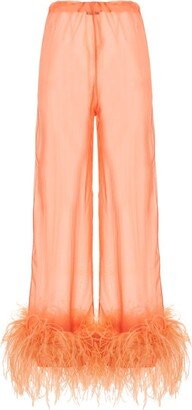 Sheer High Waist Pants-AA