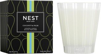 Coconut & Palm Classic Candle, 8.1 oz