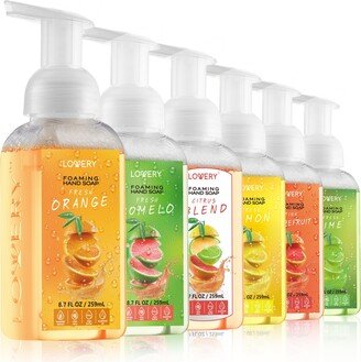 Lovery Hand Foaming Soap in Citrus Blend, Lemon, Orange, Pomelo, Lime, Pink Grapefruit, Moisturizing Hand Soap - Hand Wash Set, 6 Piece