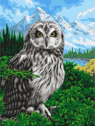 Painting by Numbers Kit Crafting Spark Spring Owl H089 19.69 x 15.75 in